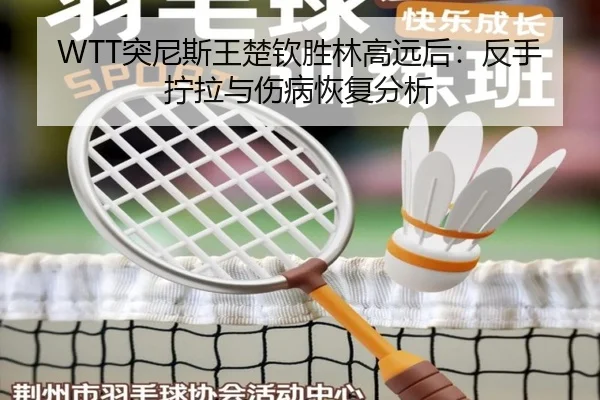 tu-ni-si-wang-chu-qin-sheng-lin-gao-yuan-hou-fan-shou-ning-la-yu-shang-bing-hui-fu-fen-xi-3-474.jpg