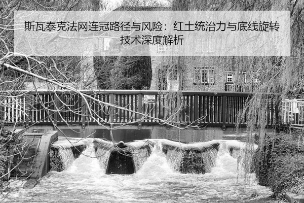 si-wa-tai-ke-fa-wang-lian-guan-lu-jing-yu-feng-xian-hong-tu-tong-zhi-li-yu-di-xian-xuan-zhuan-ji-shu-shen-du-jie-xi-2-683.jpg